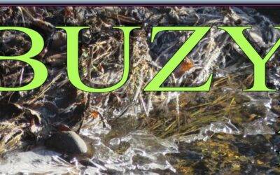 Flash Info Liaison – Janvier 2017