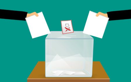 vote, voting, voting ballot