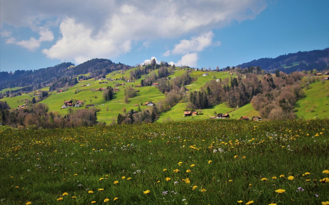 meadows, mountains, alpine village