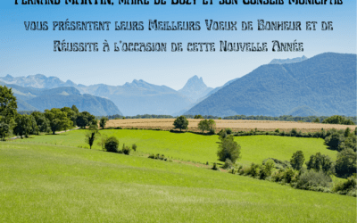 Meilleurs Vœux pour cette nouvelle année